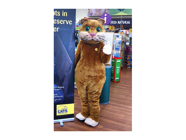 Pet chain helps raise cash for the kitties